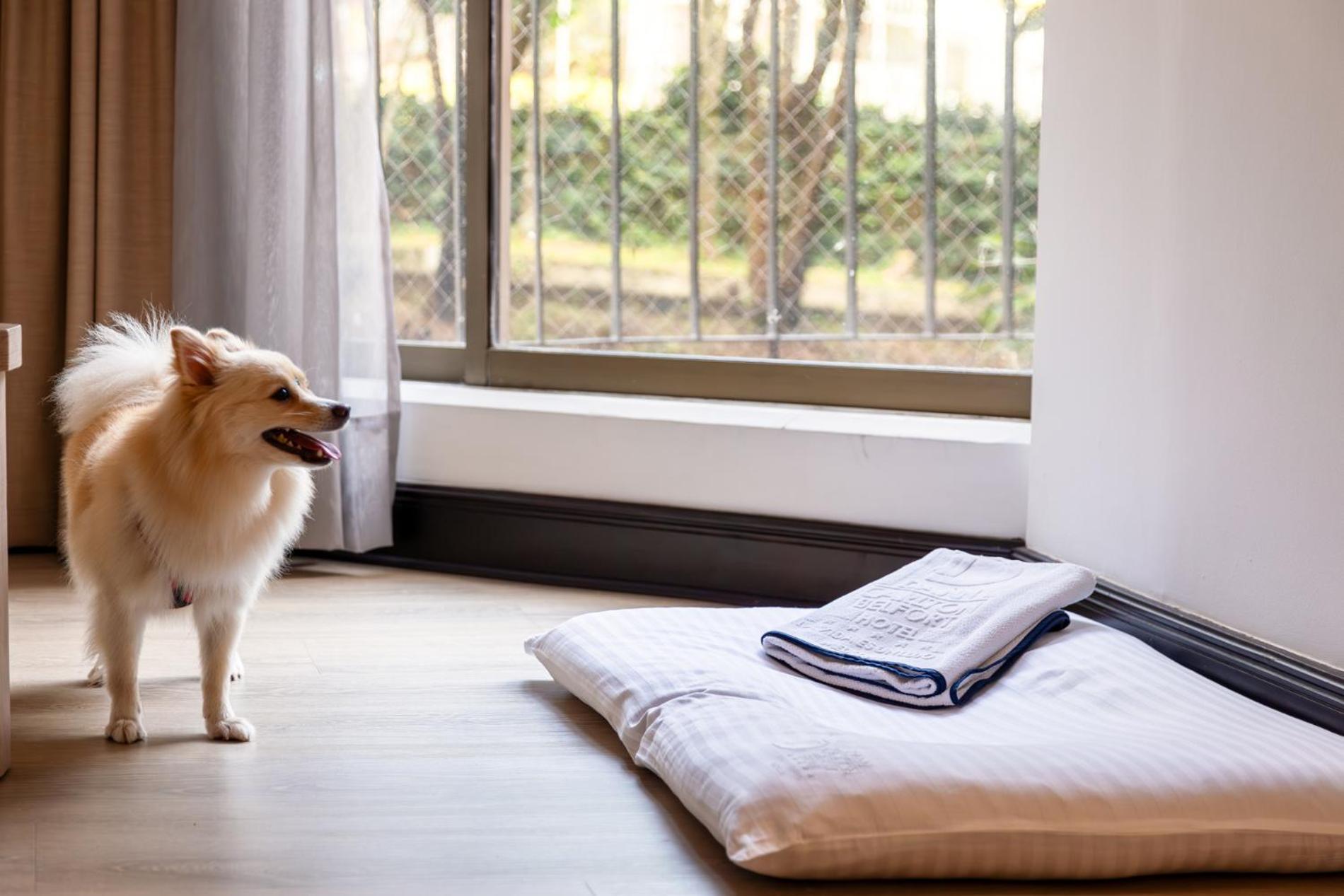 Hotel Dann Carlton Belfort Medellin Exterior photo A dog bed